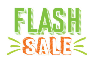 Flash Sale: A Designer's Review for Real Embroidery Projects