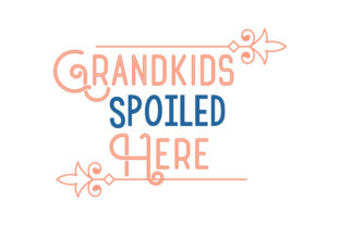 Grandkids Spoiled Here: A Designer's Real-World Review