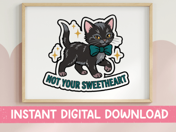 Not Your Sweetheart Sassy Black Cat Review