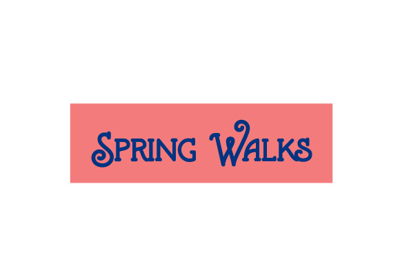 Scrapbooking Quote Spring Walks: A Designer's Real-World Review